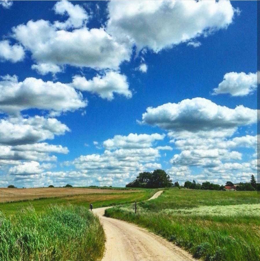 W Starej Szkole - Agroturystyka Pieczarki Екстер'єр фото